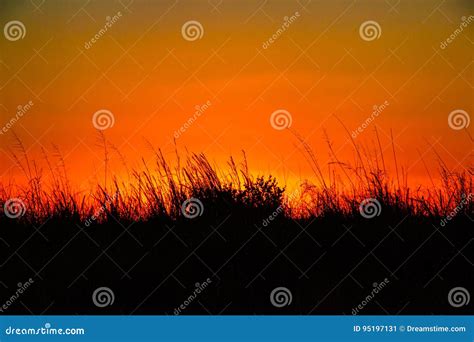 Sunset In The Grassland Stock Image Image Of Peaceful 95197131