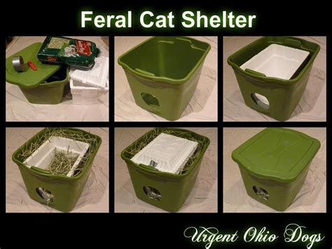 Heated Igloo Shelter For Outdoor Cats Outdoor Cats Feral Cat Shelter