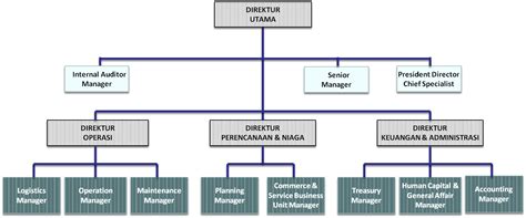 Struktur Organisasi Perusahaan Jasa Homecare