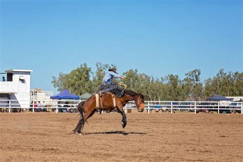 Bucking Bronco Horse At Country Rodeo Stock Photo Image Of Australian