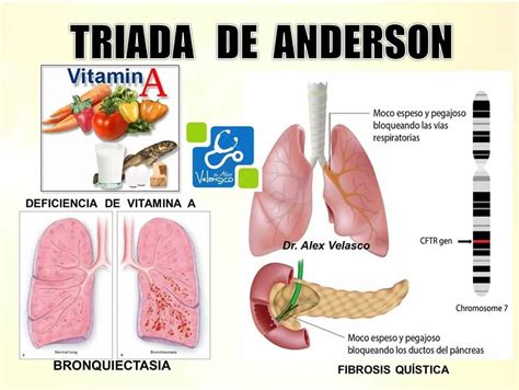 Check spelling or type a new query. Imagen de Antonella Martucci en ENFERMEDADES | Seguridad y ...