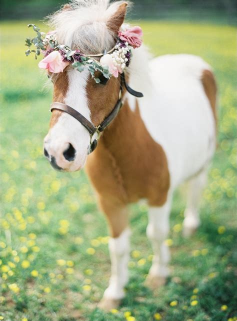 Anthropologie Mini Horses Styled Wedding Shoot