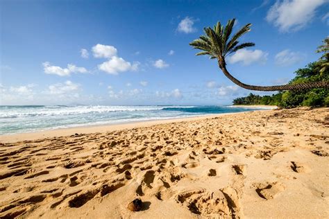 Best North Shore Oahu Beaches In Hawaii
