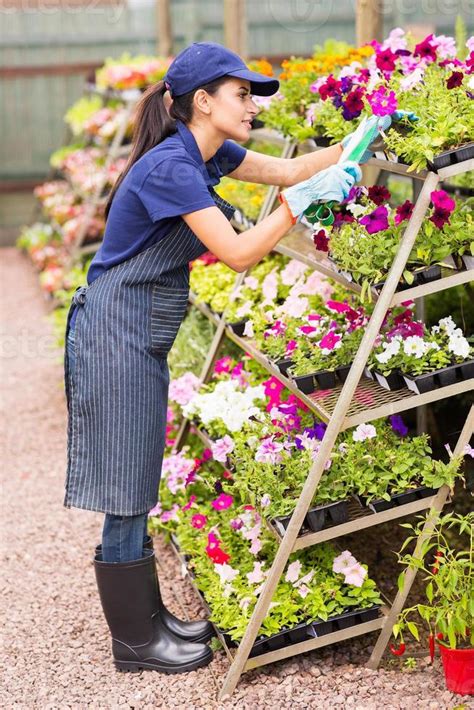Nursery Worker Trimming Flowers 1267842 Stock Photo At Vecteezy