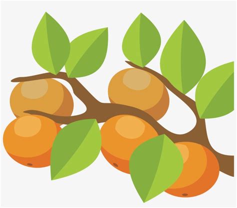 Orange Tree Png Orange Tree Clip Art Free Transparent Png Download