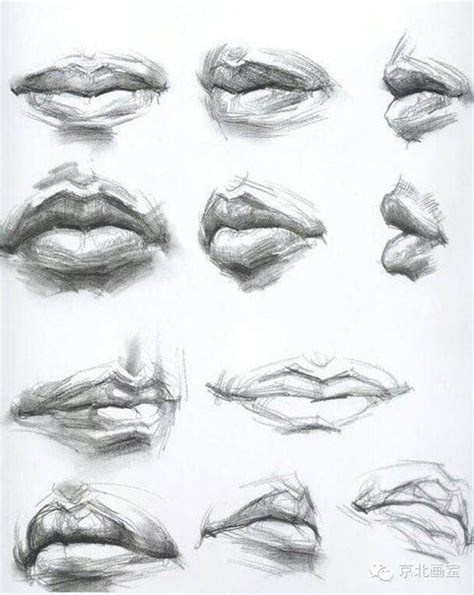 Human Lips Anatomy