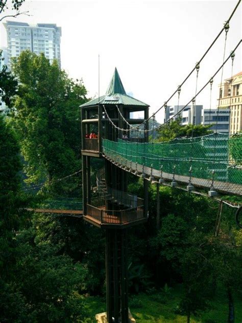 It is located near the kl tower (menara kuala lumpur). Canopy Walk at KL Forest Eco Park (Bukit Nanas Forest ...