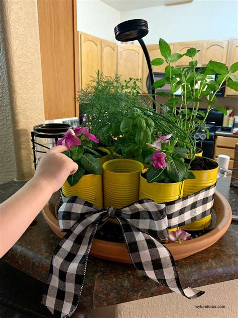 Diy Indoor Herb Garden Kit With Grow Light My Turn For Us