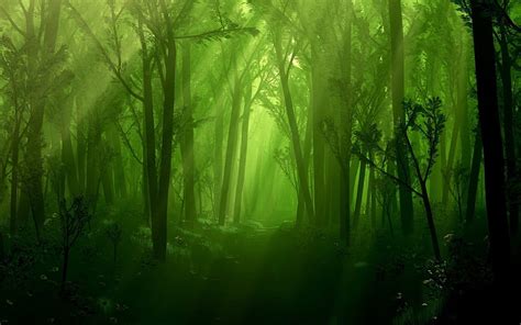 Dark Enchanted Forest Forest Fantasy Green Dark Forest Trees