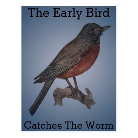 The Early Bird Catches The Worm Postcard Zazzle