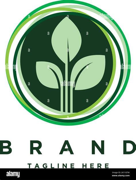 Leaf In The Circle Logo Design Template Organic Logo Design