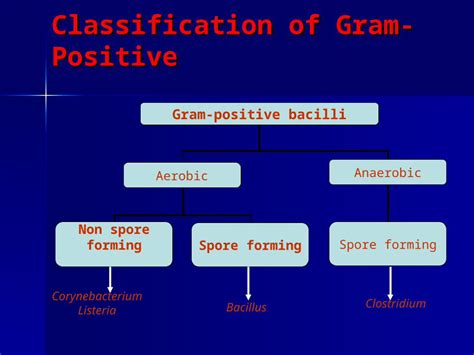 Ppt Classification Of Gram Positive Gram Positive Bacilli Aerobic Non
