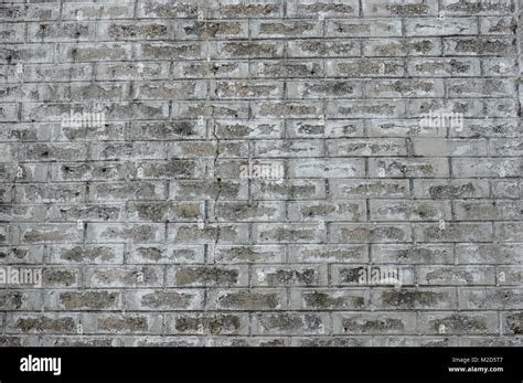 Detailed Texture Grey Brick Walls Background Stock Photo Alamy