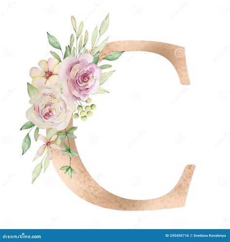 Letra C Del Alfabeto Floral Con Flores De Acuarela Stock De Ilustración