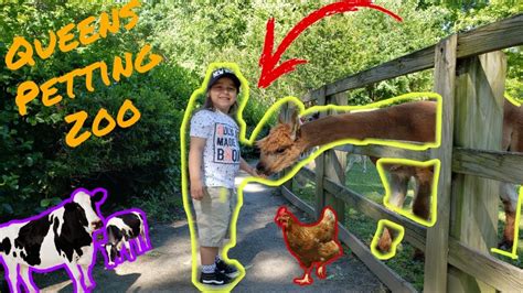 Great for all ages, anyone. Petting Zoo! Feeding and Petting Farm Animals at the ...