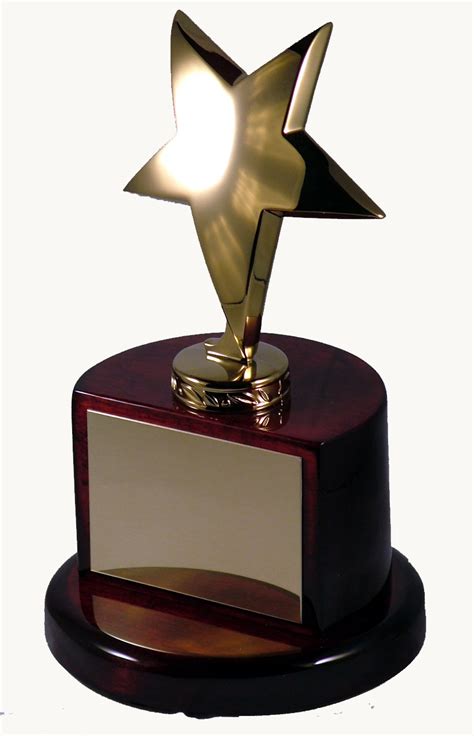 2010 star awards grand award winners. Gold Star Award | Cincinnati Recognition Awards