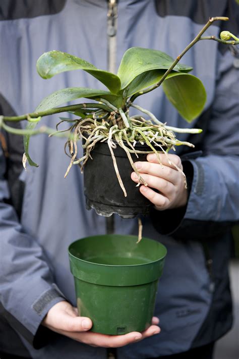 We did not find results for: South Eastern Connecticut Landscaping » Blog Archive ...