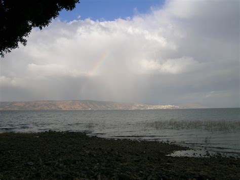 The Sea Of Galilee Down But Never Out Tours To The Holy Land