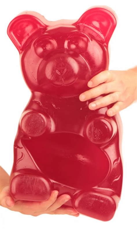 27 Pound Gummie Bear Gummy Bears Gummies Gummy Candy