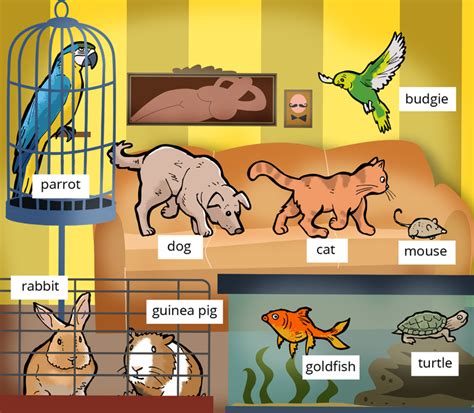 Englisch vokabeln 5 klasse arbeitsblatter. Wortschatz: "Tiere" - Englische Vokabeln Klasse 5/6 ...