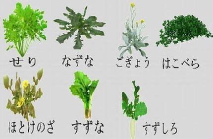 Definition of 春の七草, meaning of 春の七草 in japanese: 今日、1月7日は七草粥を食べる日 ～春の七草、全部言えますか ...