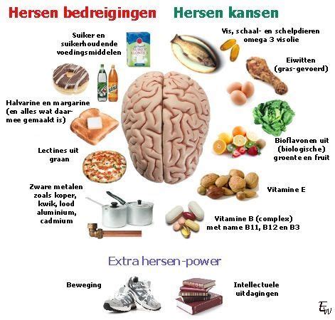 Pin Van Juf Cora Op Ons Brein Voeding Gezond Gezond Eten