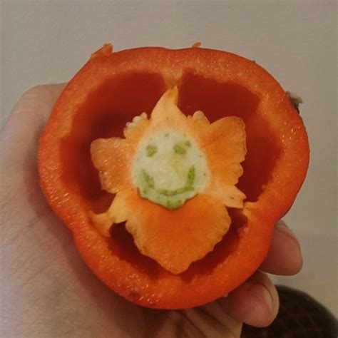 Found A Smiley Face In My Pepper Thelolempire Stuffed Peppers