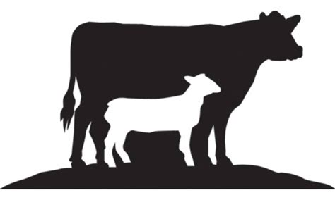 To explore more similar hd image on pngitem. Gambar Hewan Kolase Kambing - Moa Gambar