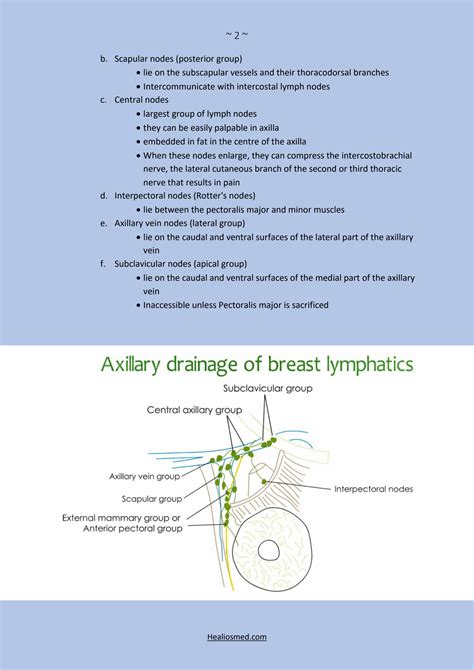 Solution Lymphatic Drainage Of Breast Studypool