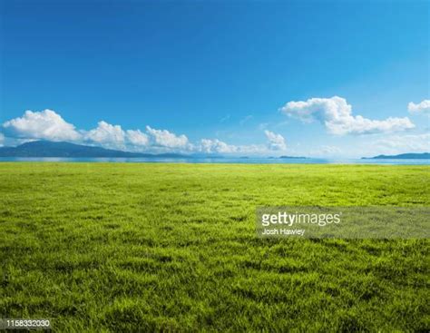 Meadow Photos And Premium High Res Pictures Getty Images