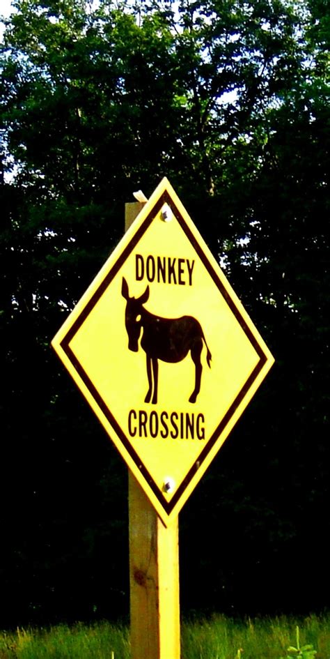 Donkey Crossing ~ This Is An Actual Sign On My Road Cute Donkey