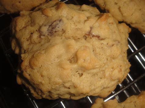 This recipe for soft oatmeal cookies creates a moist and flavorful dessert that will make everyone's day a little bit better. OATMEAL RAISIN COOKIES * with sugar and sugar-free * SOFT & CHEWY - Cindy's ON-Line recipe box
