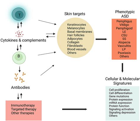 Frontiers Editorial Mechanism And Therapy Of Autoimmune Skin Diseases