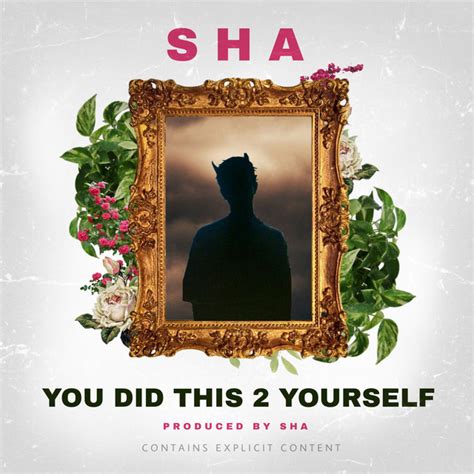 You Did This Yourself Single By Sha Spotify