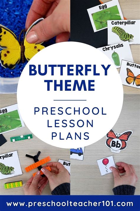 Teach Preschoolers About The Life Cycle Of Caterpillars And Butterflies