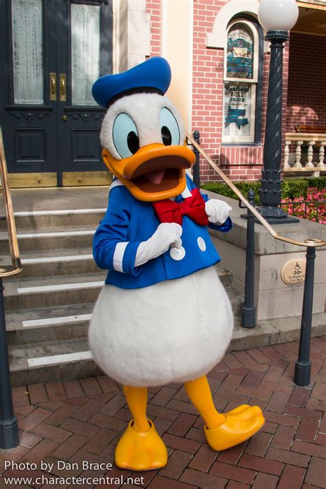 Donald Duck At Disney Character Central