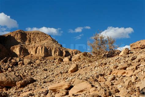Rocky Desert Landscape With Dry Bush Stock Image Colourbox