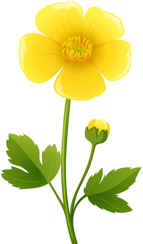 Yellow Flower Transparent Clip Art Image 2  Clipartix