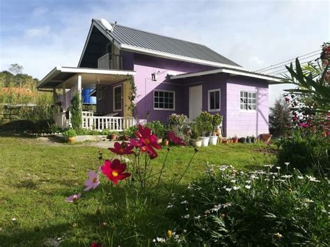 ¿buscas el hotel cinta kristal villa homestay kajang? The Purple Cottage Homestay Mesilau Kundasang ...