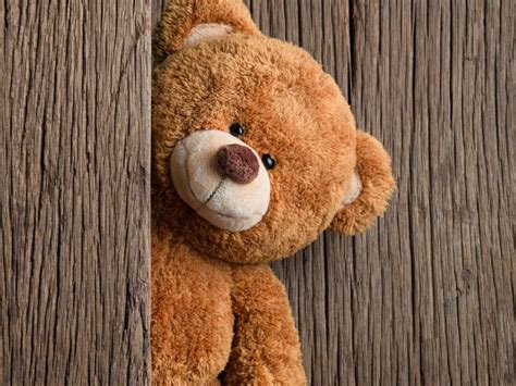 Teddy Bear Day Wallpaper Download Teddy Bear Toy Glare Wallpaper