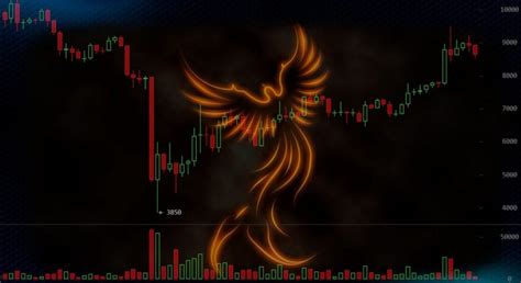 I agree, it is more like an emerging market currency. The price of Bitcoin registered a significant recovery ...