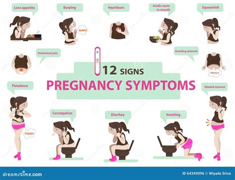 Pregnancy Symptoms Stock Vector Illustration Of Reproductive 64349096