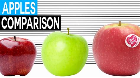 Fruit Size Comparison Apples Youtube