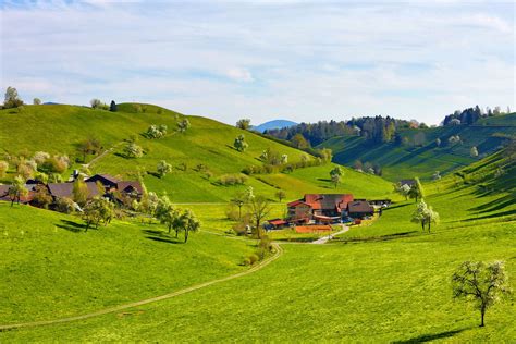 Wallpaper Trees Landscape Hill Nature Grass Field Clouds House