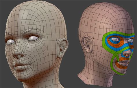Female head topology feedback — polycount