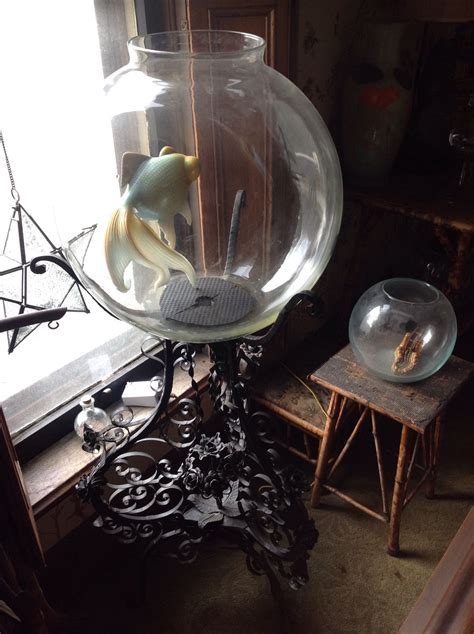 giant antique terrarium fish bowl wrought iron stand | Fish bowl, Iron