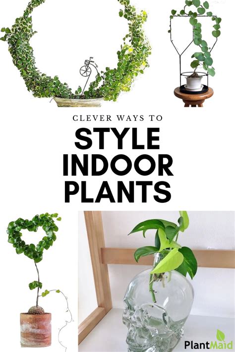 Clever Ways To Style Your Indoor Plants Indoor Plants Plants Indoor