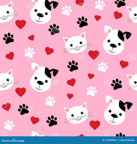 Cat And Dog Wallpaper Wallpaper