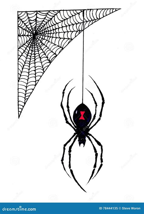 Black Widow Spider Web Drawing
