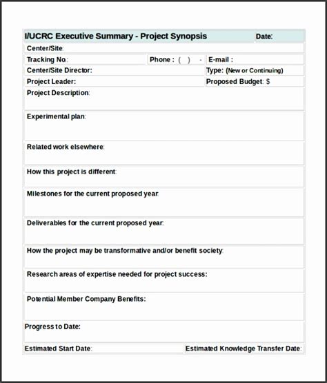 project summary template word sampletemplatess